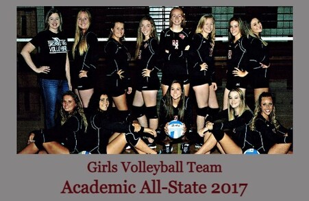 2017 Girls Volleyball Team