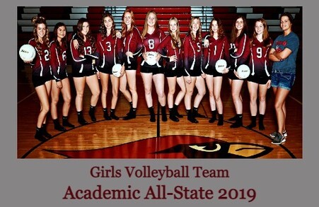 2019 Girls Volleyball Team