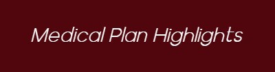 Medical Plan Highlights