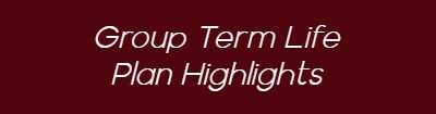 Group Term Life Plan Highlights